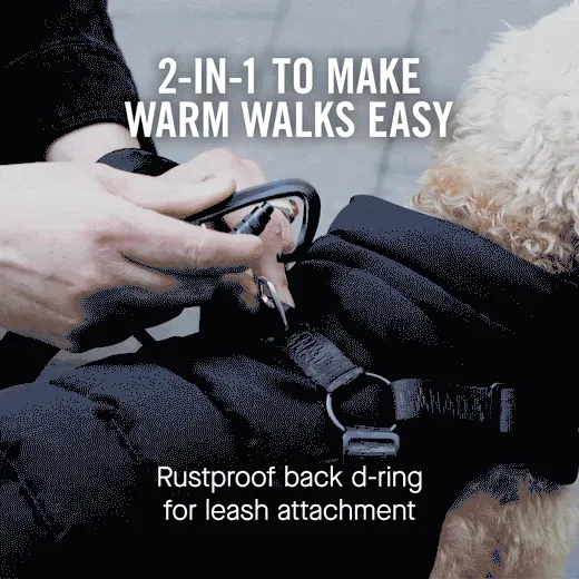 classic harness puffer - black - last one!